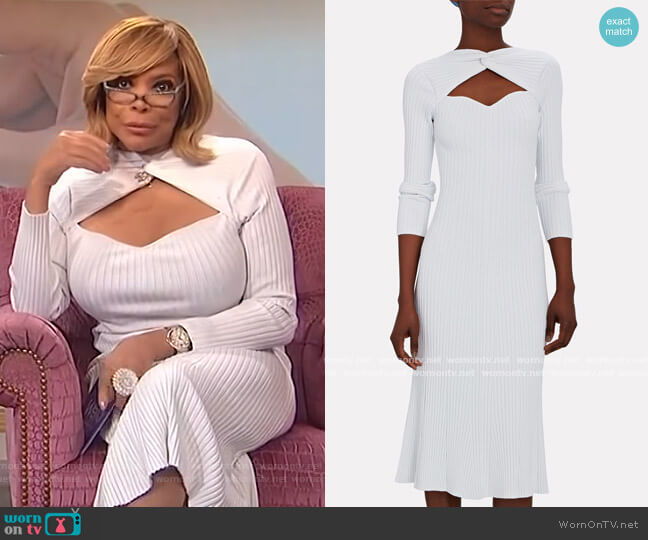 Amur Vivian Rib Knit Midi Dress worn by Wendy Williams on The Wendy Williams Show
