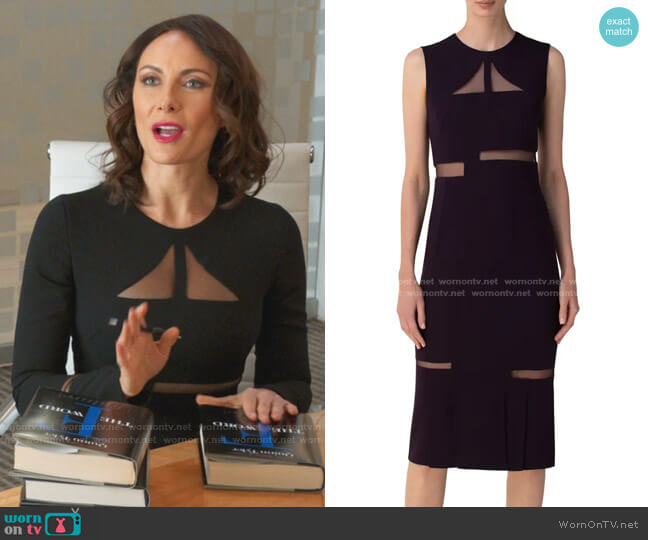 Akris Tulle Cutout Double Face Midi Sheath Dress worn by Quinn (Laura Benanti) on Younger