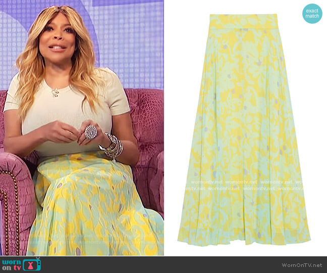 Diane Von Furstenberg Tonnah floral-print georgette maxi skirt worn by Wendy Williams on The Wendy Williams Show