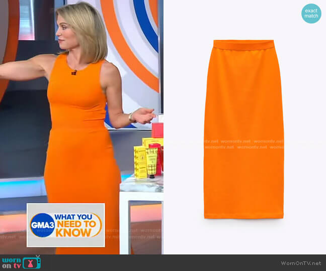 Zara Fitted Skirt worn by Amy Robach on Good Morning America