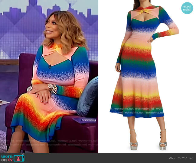 Amur Rainbow Twist-Neck Knit Dress worn by Wendy Williams on The Wendy Williams Show