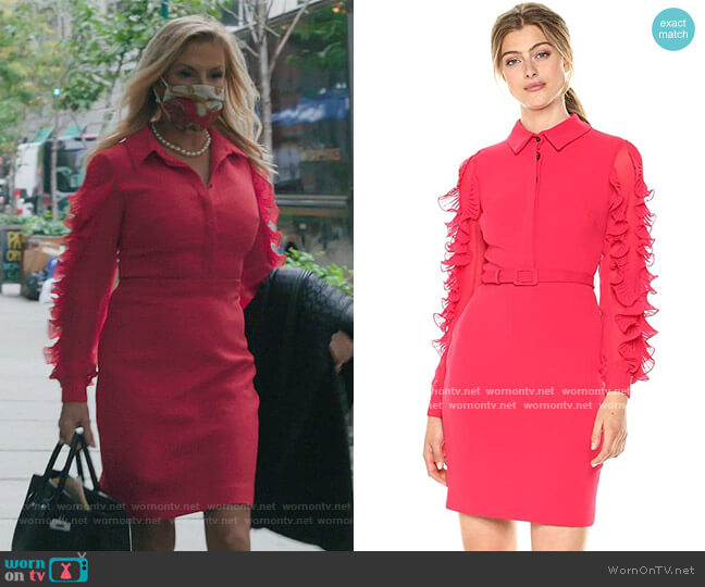 Badgley Mischka Long Sleeved Runway Cocktail Dress worn by Ramona Singer on The Real Housewives of New York City