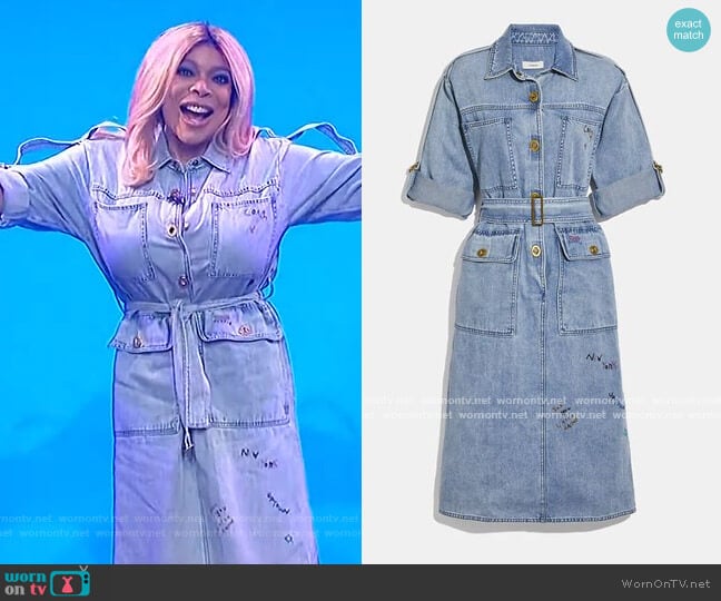 Coach Denim Dress worn by Wendy Williams on The Wendy Williams Show