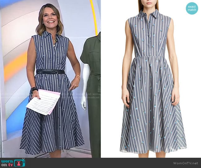 Jason Wu Collection Floral Stripe Cotton & Silk Dress worn by Savannah Guthrie on Today