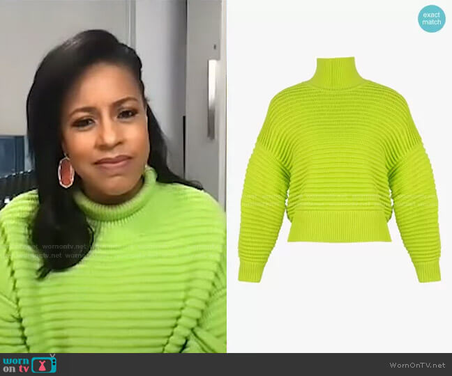 Tanya Taylor Liliana Knit Sweater worn by Sheinelle Jones on Today
