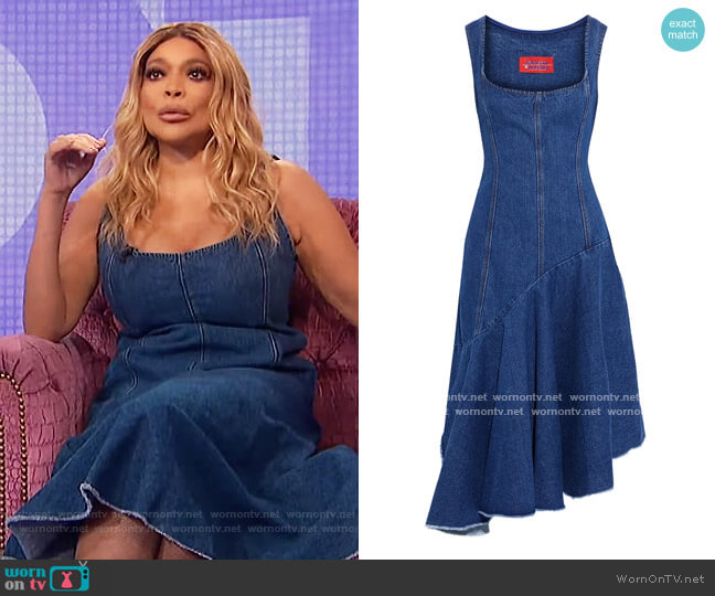 Solace London Lewis asymmetric paneled denim dress worn by Wendy Williams on The Wendy Williams Show