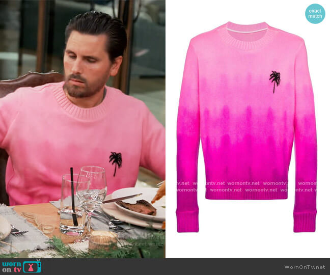 The Elder Statesman Gradient dye palm tree sweater