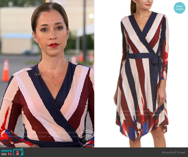 Bcbgmaxazria Isabella Stripe Dress worn by Mireya Villarreal on CBS Mornings
