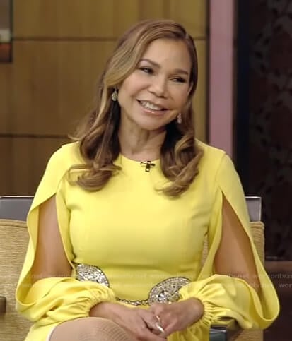 Daphne Rubin-Vega’s yellow split-sleeve dress on Live with Kelly and Ryan