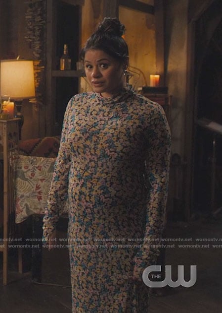 Mel’s floral long sleeve mesh midi dress on Charmed