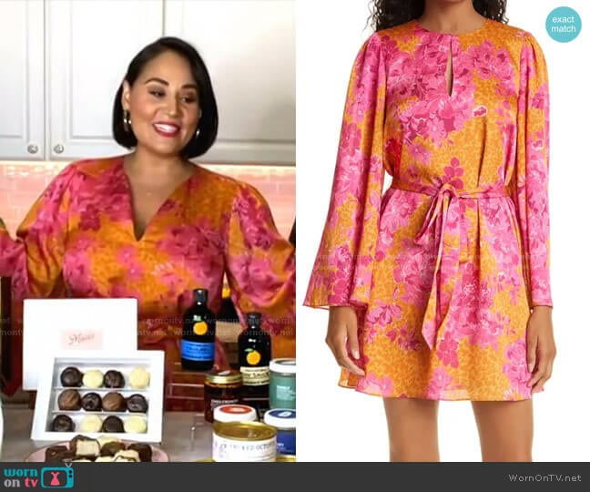 Ted Baker Metropolis Dress worn by Alejandra Ramos on Today