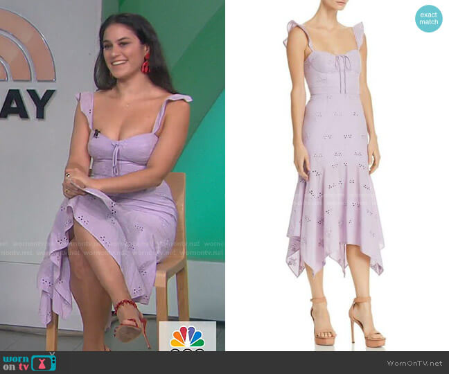 Wayf Novara Dress worn by Donna Farizan on Today