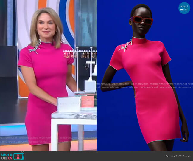 Zara Knit Dress with Bows worn by Amy Robach on Good Morning America