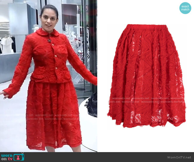 Comme Des Garçons Girl Tulle-Appliqué Pleated Skirt worn by Donna Farizan on Today