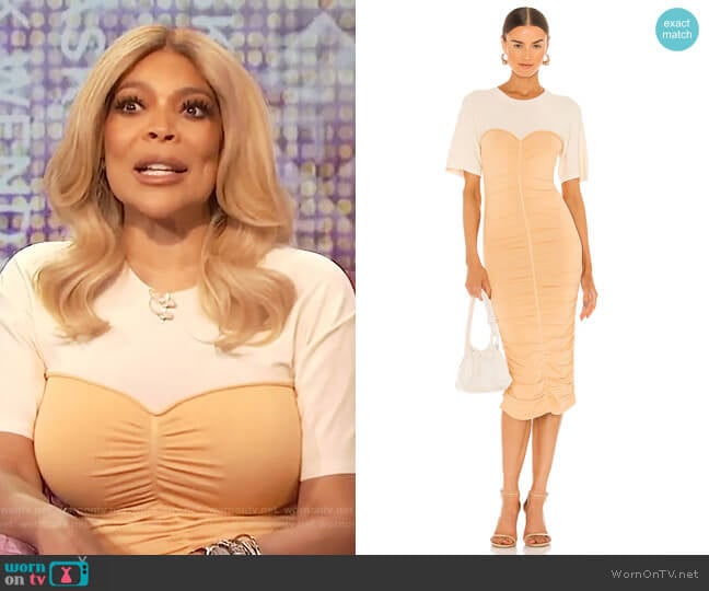Jonathan Simkhai Charleigh Rayon Ruche Dress worn by Wendy Williams on The Wendy Williams Show