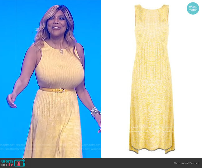 Joseph Darla ribbed-panel dress worn by Wendy Williams on The Wendy Williams Show