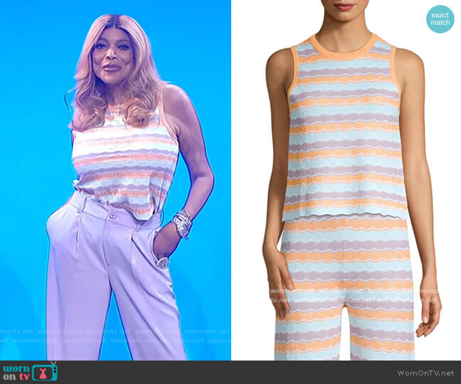 Alice + Olivia Antonella Stripe Knit Tank worn by Wendy Williams on The Wendy Williams Show