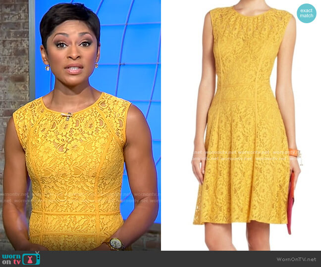 Bcbgmaxazria Sleeveless Lace Dress worn by Jericka Duncan on CBS Mornings