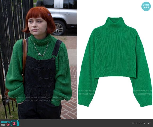 H&M Cropped Turtleneck Sweater