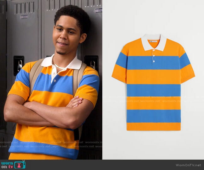 Zara Striped Knit Polo Shirt