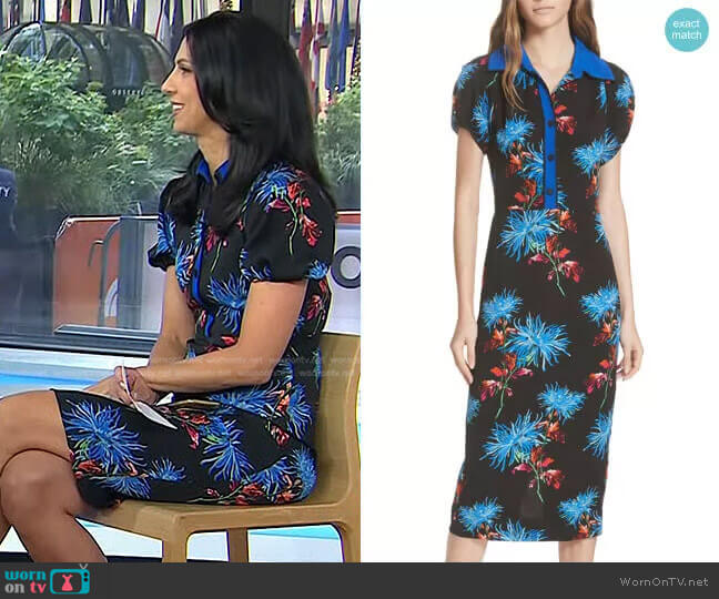 Diane von Furstenberg Elly Floral Dress worn by Dr. Natalie Azar on Today