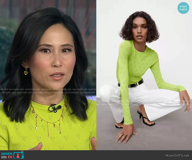 Zara Knit Heat Sweater worn by Vicky Nguyen on Today