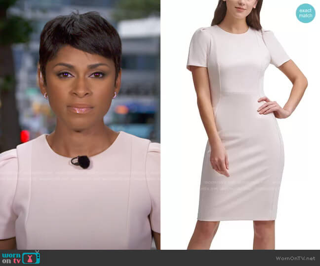 Calvin Klein Puff-Sleeve Sheath Dress in Blossom worn by Jericka Duncan on CBS Evening News