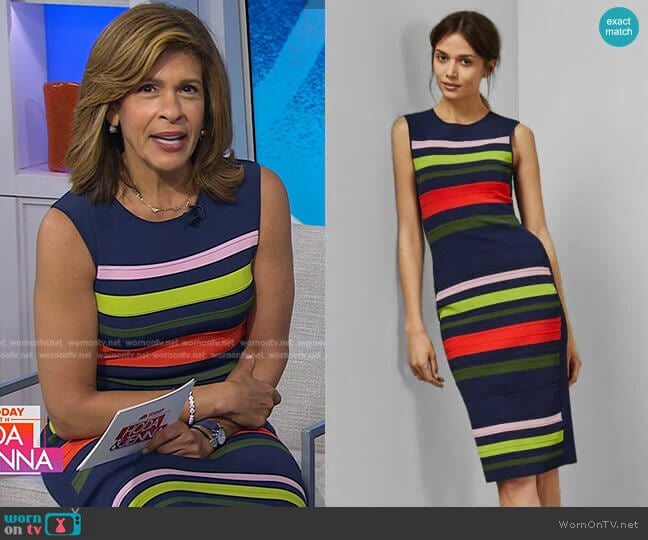 Ted Baker Ysina Striped Dress worn by Hoda Kotb on Today