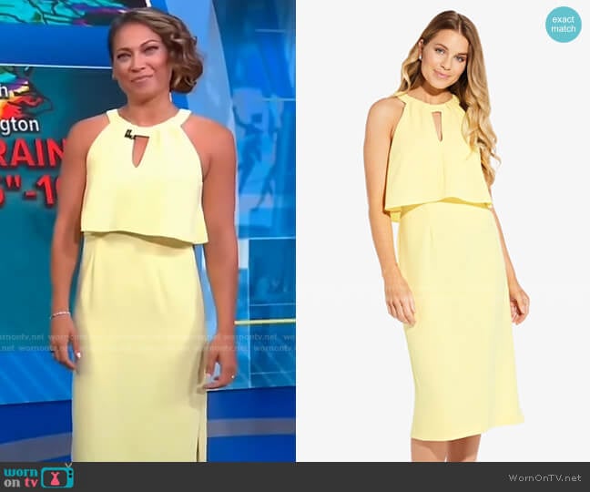Adrianna Papell Sleeveless Sheath Dress with Cutout Detail worn by Ginger Zee on Good Morning America