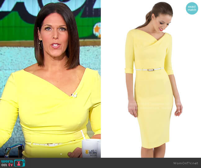 Black Halo Classic 3/4 Sleeve Jackie O Sheath in Daisy worn by Dana Jacobson on CBS Mornings