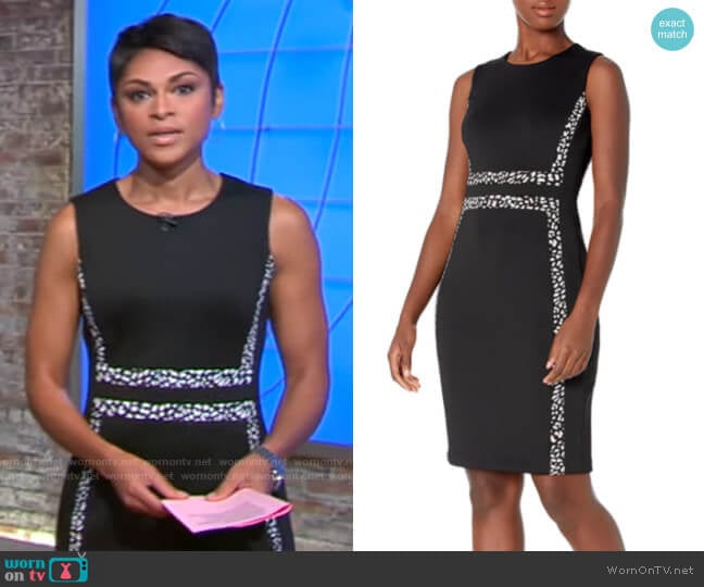 Calvin Klein Sleeveless Colorblock Sheath Dress in Black / Black / Cream worn by Jericka Duncan on CBS Mornings