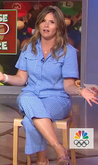 Jenna’s blue gingham shirt and pants on Today