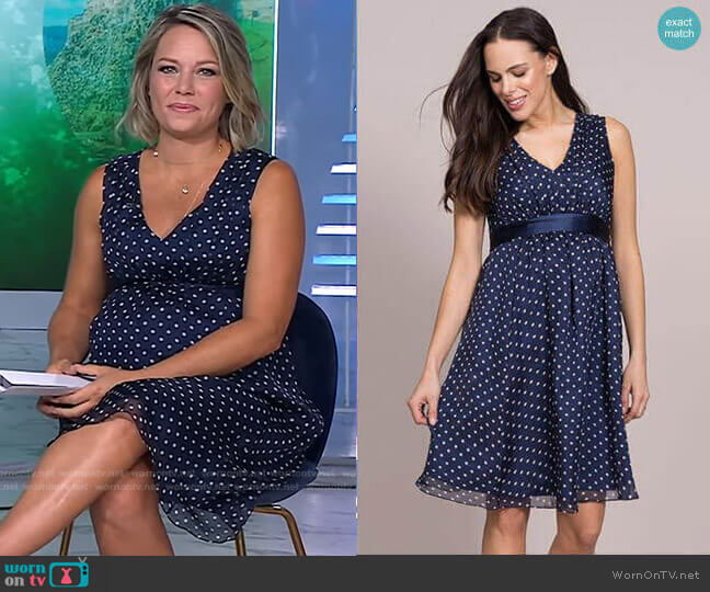Seraphine Polka Dot Silk Maternity Dress worn by Dylan Dreyer on Today