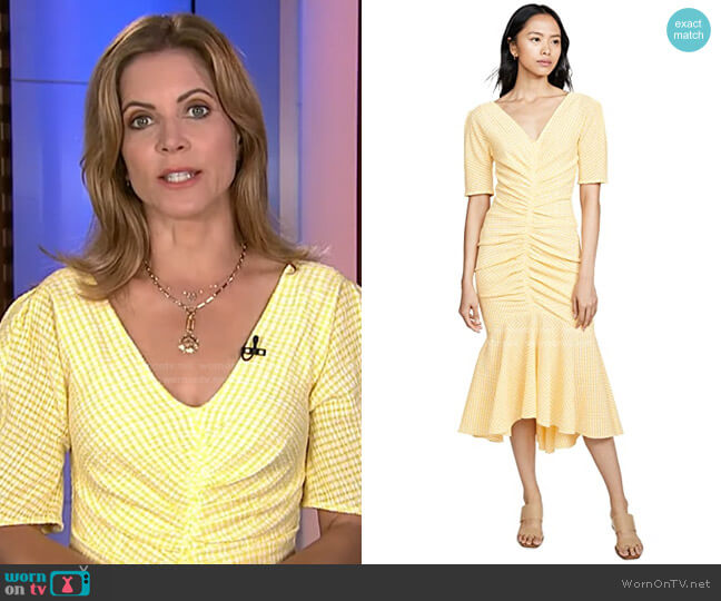 Staud Panier Dress worn by Natalie Morales on Today