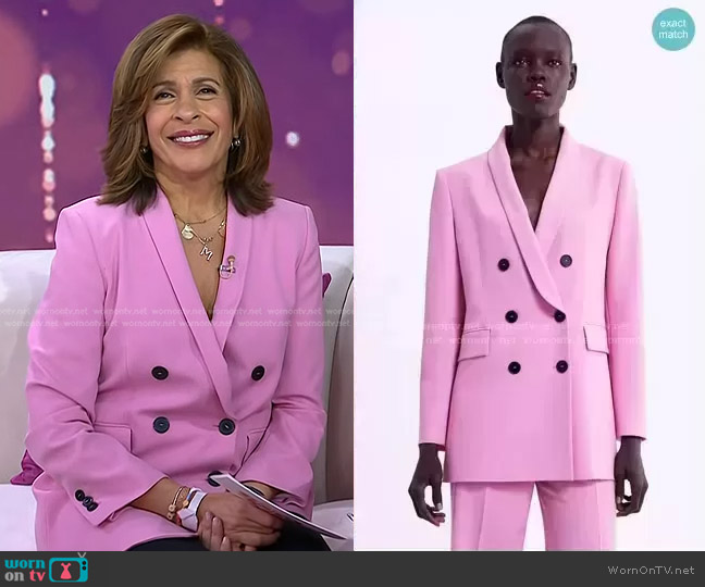 Zara Double Breasted Blazer worn by Hoda Kotb on Today