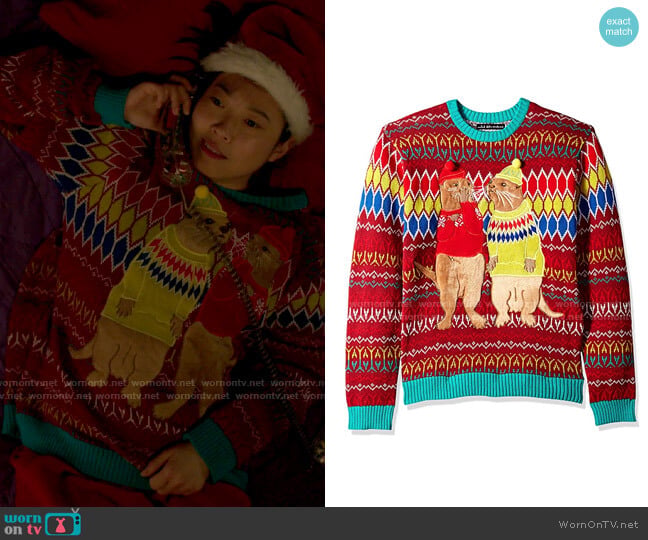 Blizzard Bay Otters in Sweaters Ugly Christmas Sweater worn by Nora Lum (Awkwafina) on Awkwafina is Nora From Queens