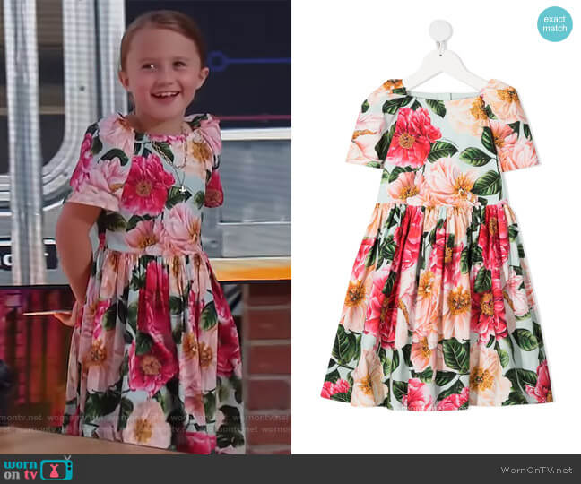 Dolce & Gabbana Floral Printed Dress