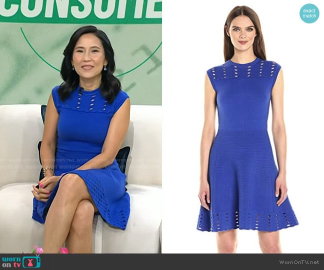 Ted Baker Zaralie Jacquard Panel Skater Dress worn by Vicky Nguyen on Today