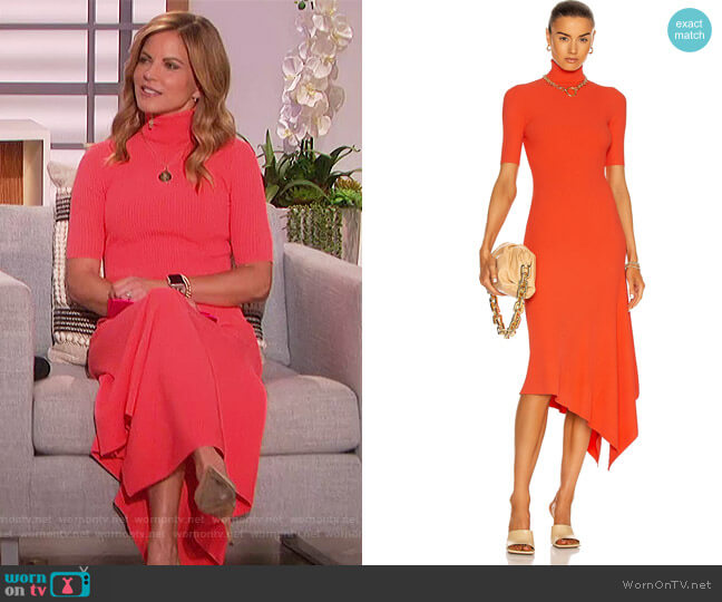 A.L.C. Erynna Turtleneck Dress worn by Natalie Morales on The Talk