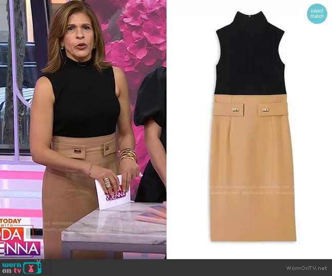 Paule Ka Color Blocked Turtleneck Sheath Dress worn by Hoda Kotb on Today