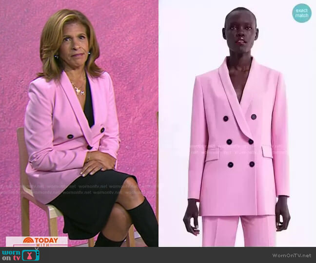 Zara Double Breasted Blazer worn by Hoda Kotb on Today