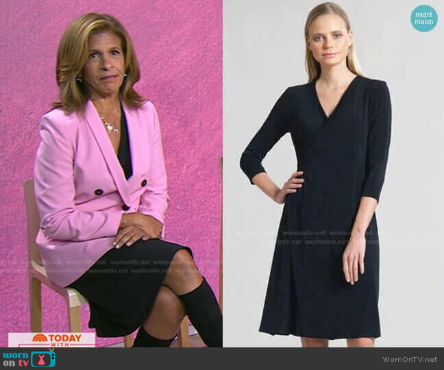Clara Sunwoo Faux Wrap V-Neck 3/4 Sleeve Dress worn by Hoda Kotb on Today