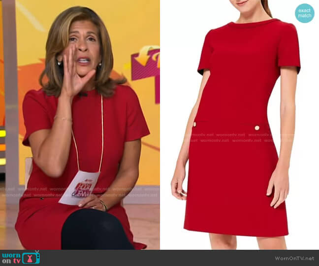 Hobbs London Petra Short Sleeve Shift Dress worn by Hoda Kotb on Today