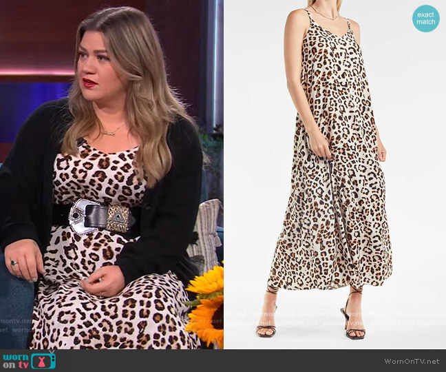 Express Leopard Print V-Neck Maxi Dress worn by Kelly Clarkson on The Kelly Clarkson Show