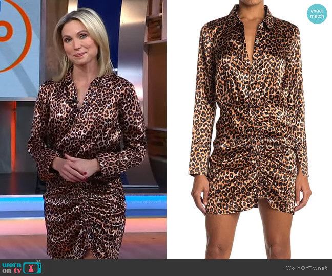 Likely Emilia Leopard Dress worn by Amy Robach on Good Morning America