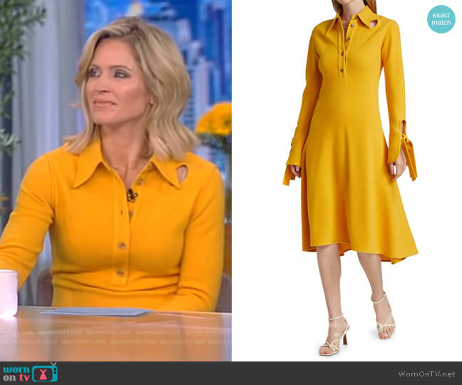 3.1 Phillip Lim Wool Blend Flare Shirtdress worn by Sara Haines on The View