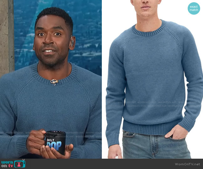Gap Crewneck Raglan Sweater worn by Justin Sylvester on E! News