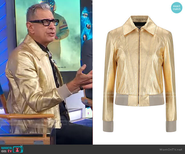 Celine Leather Jacket In Gold