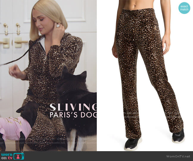 Juicy Couture Classic Velour Track Pants worn by Paris Hilton on Paris in Love
