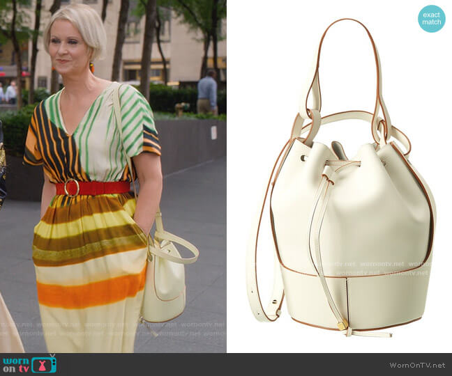 Loewe Balloon Small Leather Bag worn by Miranda Hobbs (Cynthia Nixon) on And Just Like That